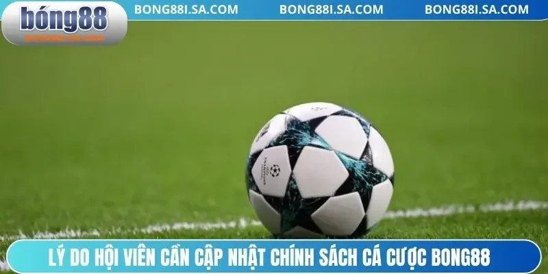 Lý do hội viên cần cập nhật chính sách cá cược BONG88