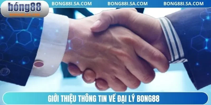 Giới thiệu thông tin về đại lý BONG88