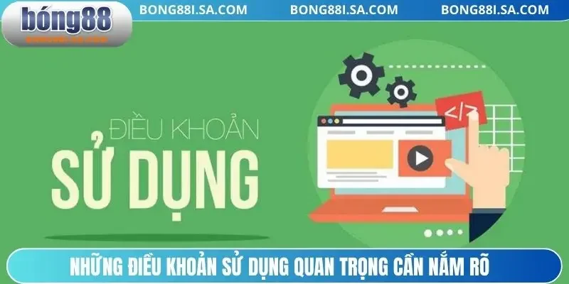 Những điều khoản sử dụng quan trọng cần nắm rõ