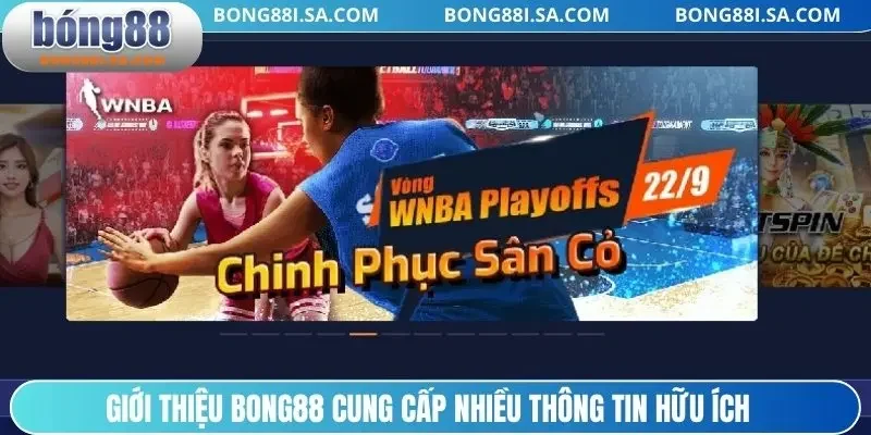 Giới thiệu BONG88 cung cấp nhiều thông tin hữu ích
