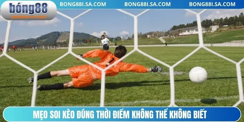 Mẹo soi kèo đúng thời điểm không thể không biết