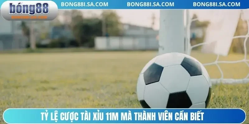 Tỷ lệ cược tài xỉu 11m mà thành viên cần biết