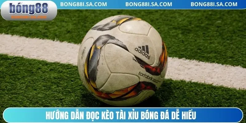 Hướng dẫn đọc kèo tài xỉu bóng đá dễ hiểu