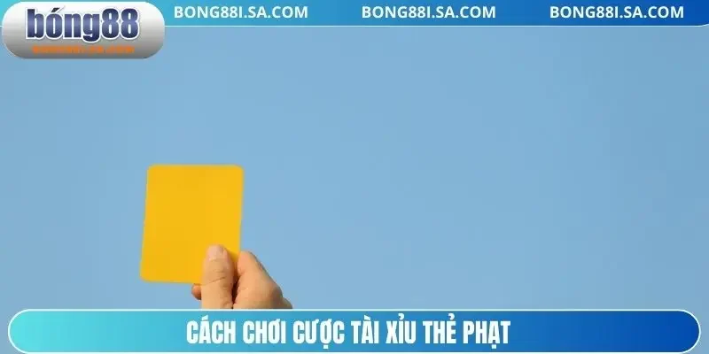 Cách chơi cược tài xỉu thẻ phạt