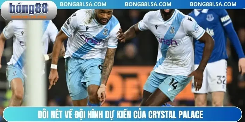 Đôi nét về đội hình dự kiến của Crystal Palace